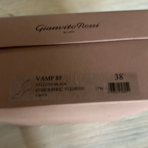 Gianvito Rossi Vamp Black Velvet 85mm Peep toe Heels
