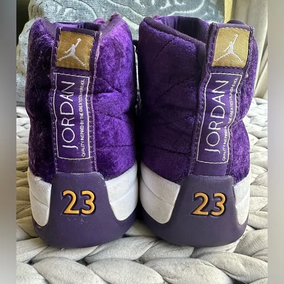 Nike Air Jordan 12 Velvet Purple Gold
