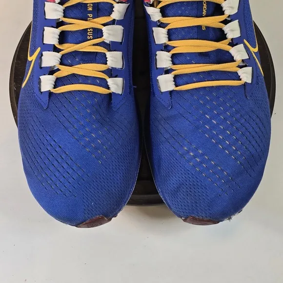 Nike Air Zoom Pegasus 38 Jordan Moss Mens Size 12 Running Shoes DO7763-400