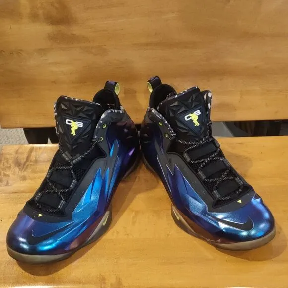 Nike Chuck Posite Cave Purple size 12  684758-500 (2014)