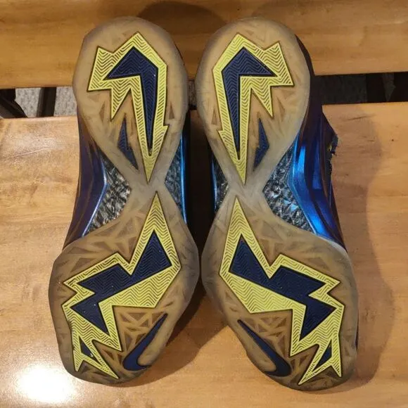 Nike Chuck Posite Cave Purple size 12  684758-500 (2014)
