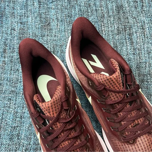 Nike Pegasus 39 Running Shoes in Canyon Rust Mint Foam