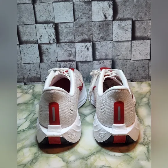 Nike Pegasus Plus Platinum Tint University Red Shoes Size 10.5
