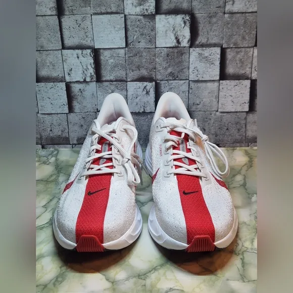 Nike Pegasus Plus Platinum Tint University Red Shoes Size 10.5