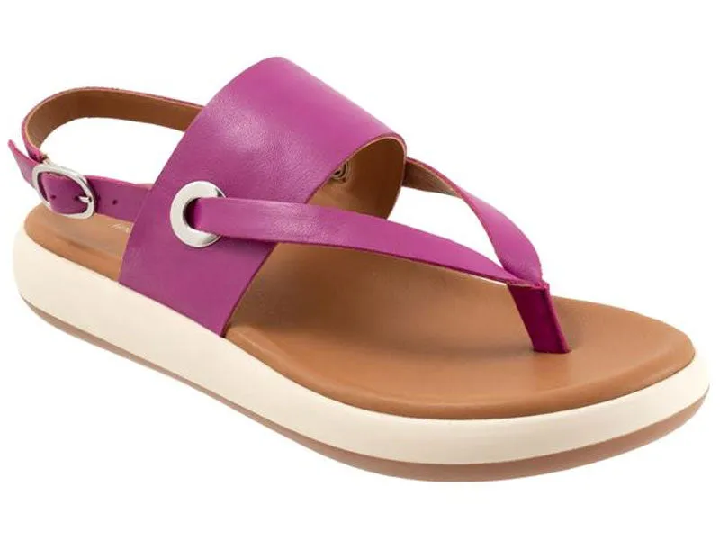 Softwalk Joliet - Women's Sandal