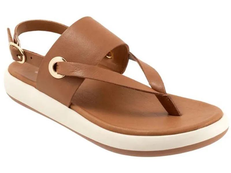 Softwalk Joliet - Women's Sandal